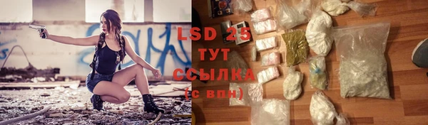 хмурый Лагань
