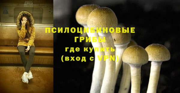 бутират Ладушкин