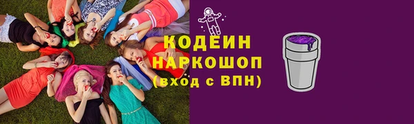 хмурый Лагань