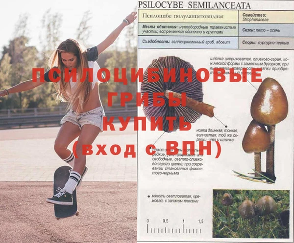 хмурый Лагань